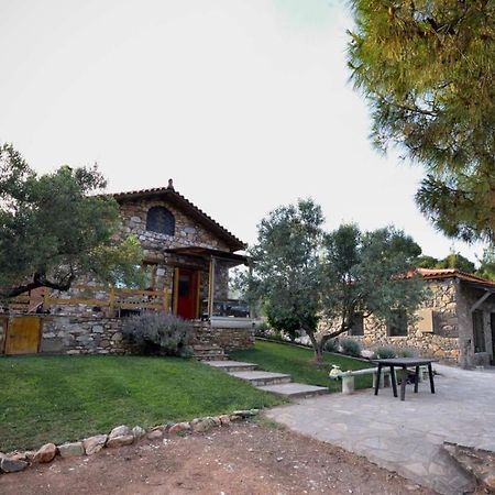 Kladi House Renovated 2023 Villa Nikiti  Luaran gambar