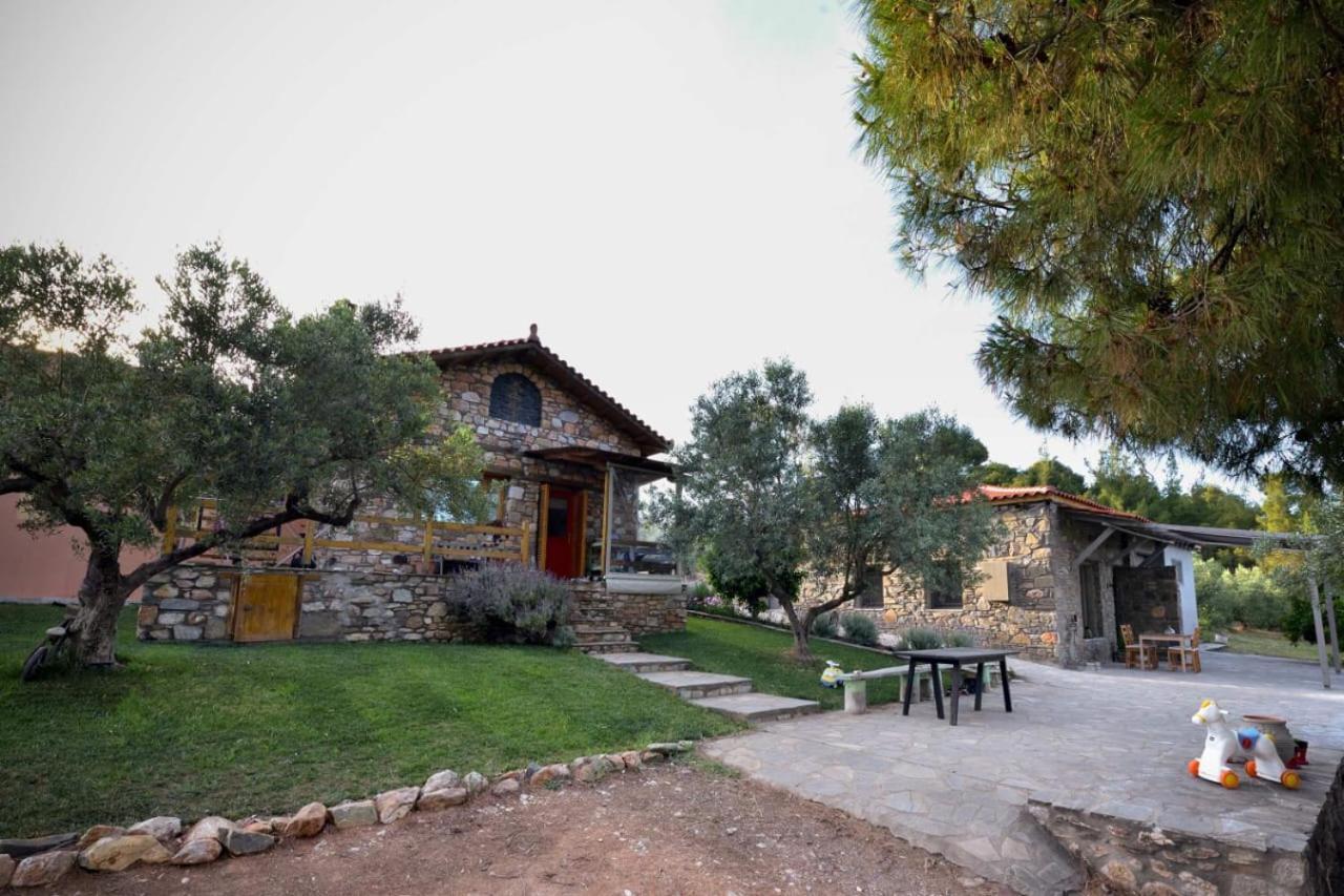 Kladi House Renovated 2023 Villa Nikiti  Luaran gambar